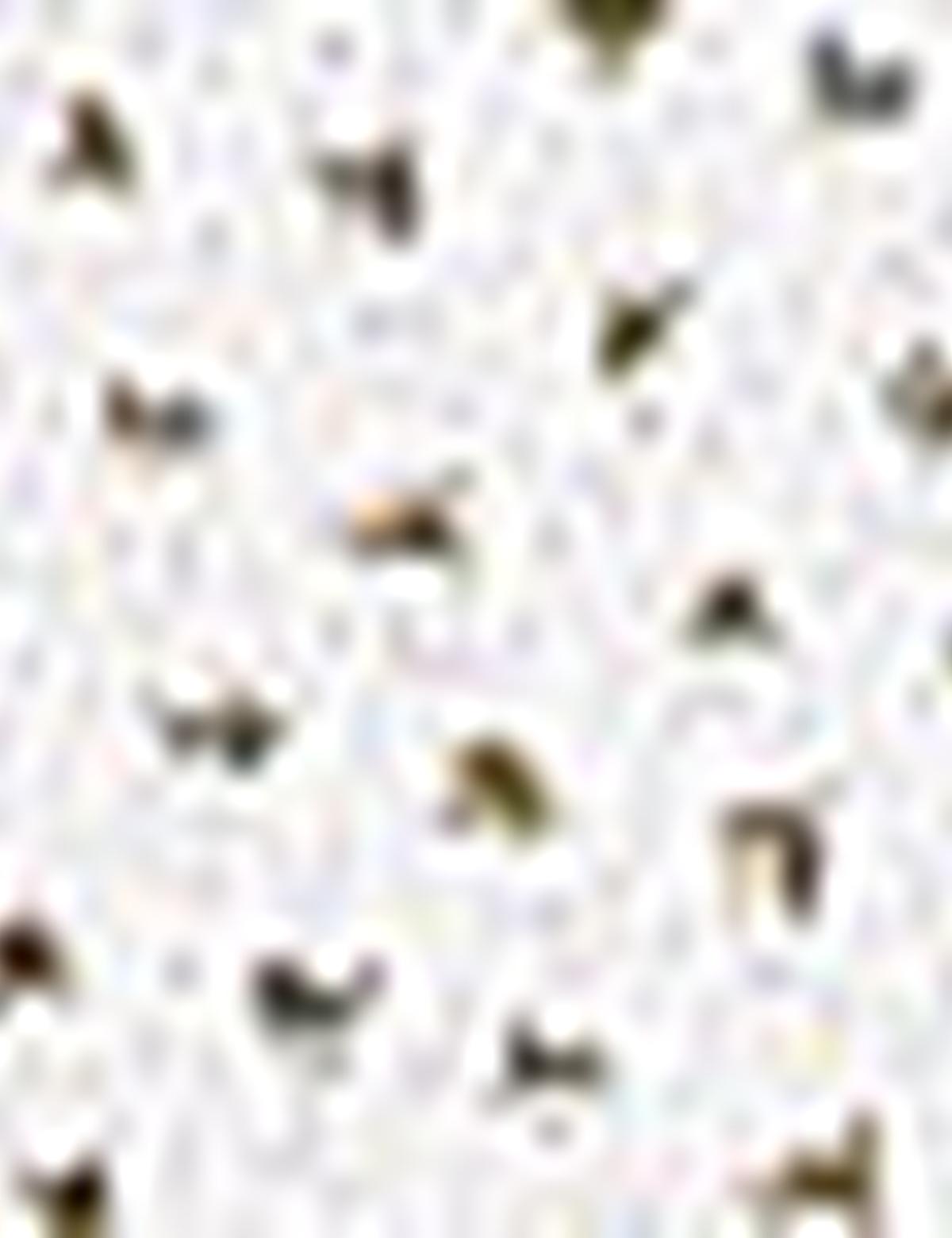 Haki Slim Fit Uzun Kollu Gömlek - 50211182005