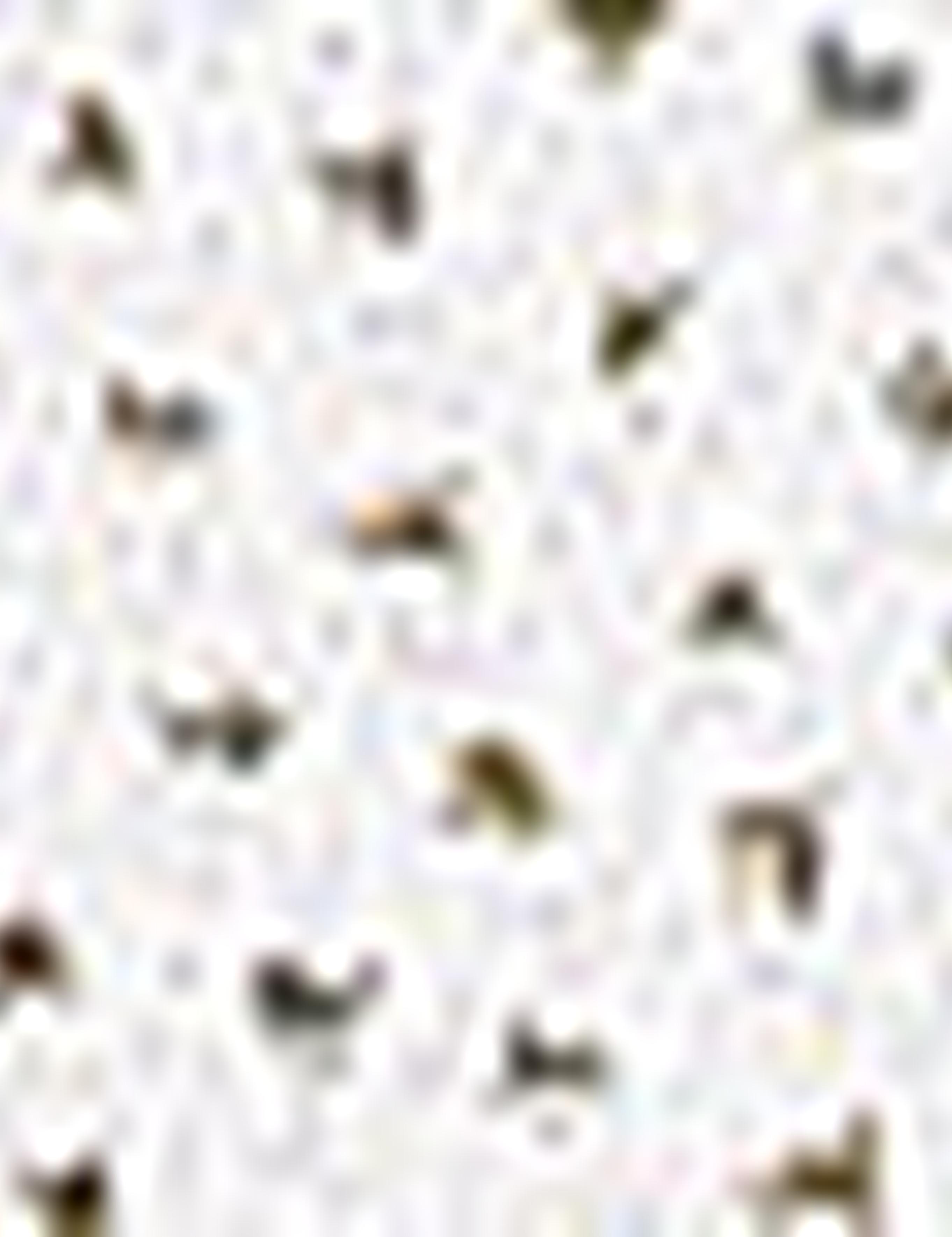 Haki Slim Fit Uzun Kollu Gömlek