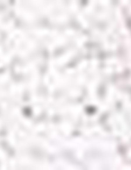 Bej Slim Fit Gömlek - 50211183017