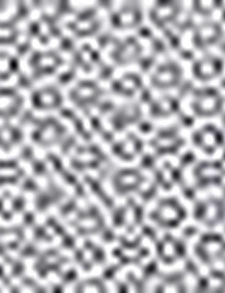 Antrasit Gri Slim Fit Gömlek - 50211184003