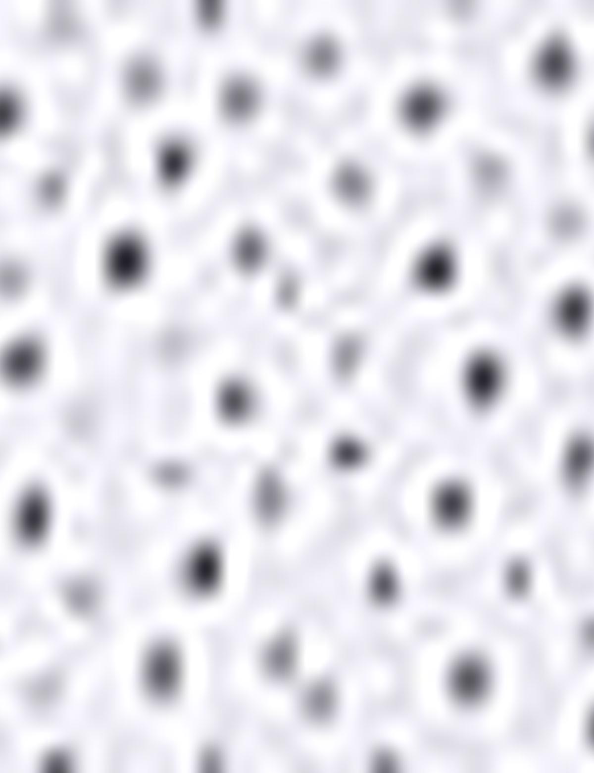 Lacivert Slim Fit Gömlek - 50211185014