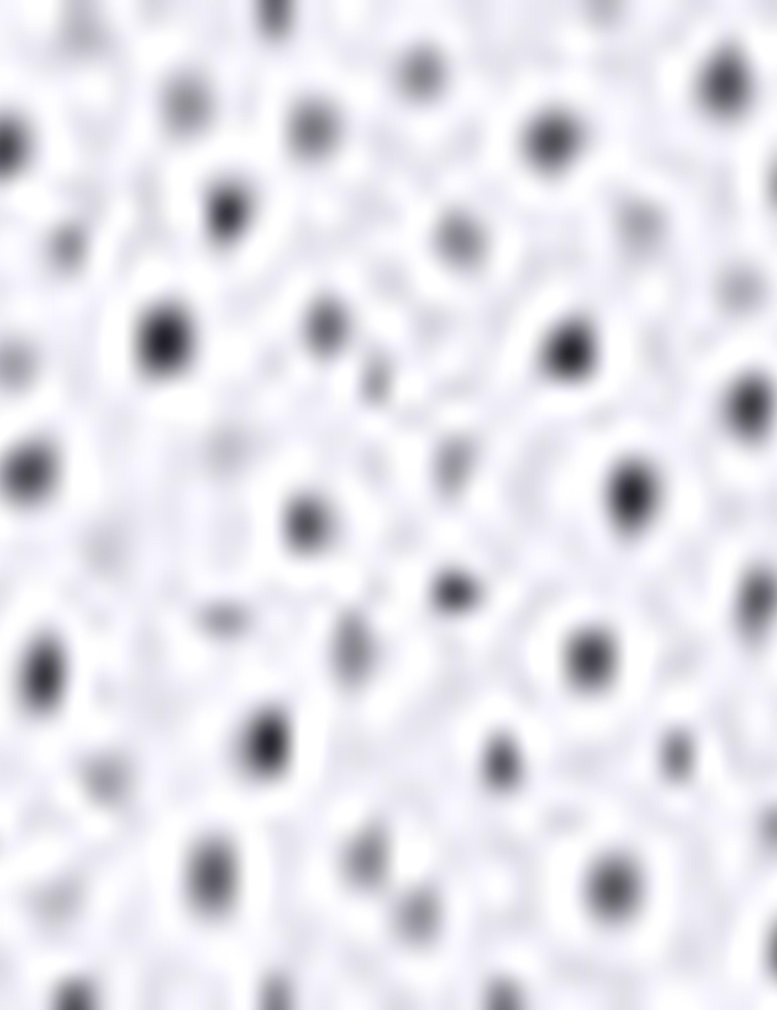 Lacivert Slim Fit Gömlek