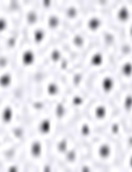 Lacivert Slim Fit Gömlek - 50211185014