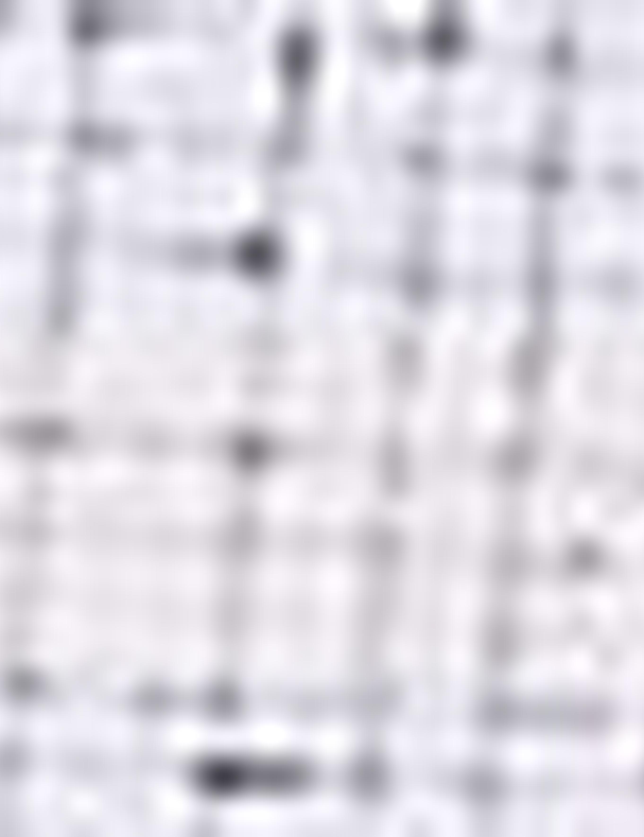 Gri Slim Fit Gömlek