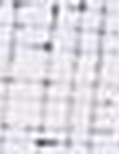 Gri Slim Fit Gömlek - 50211190005