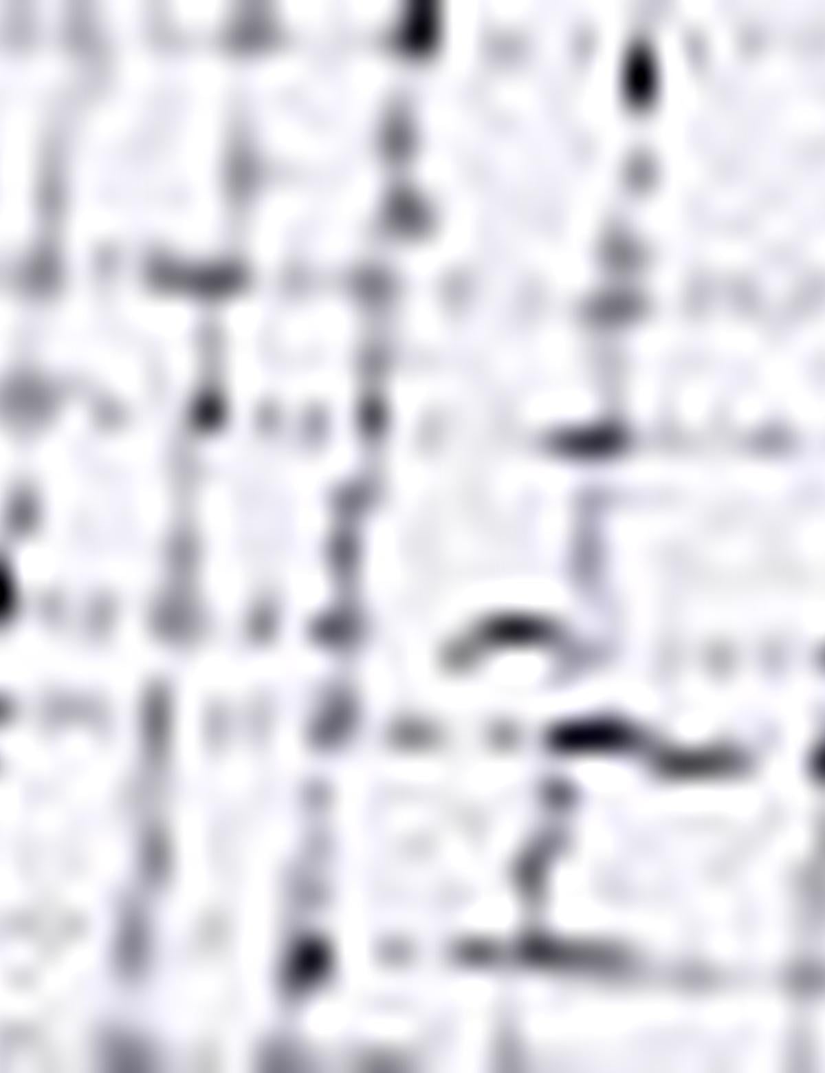 Lacivert Slim Fit Gömlek - 50211190013