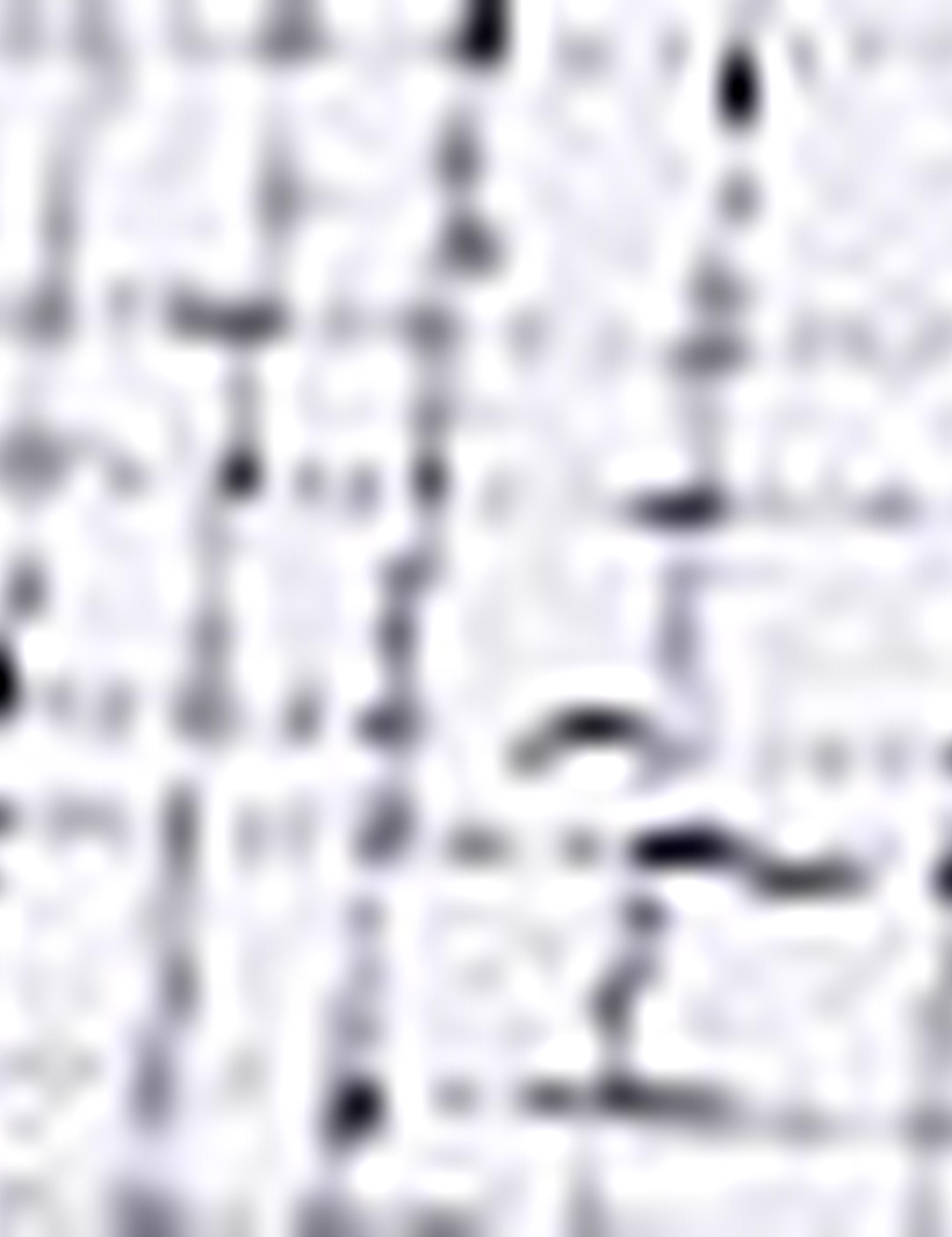 Lacivert Slim Fit Gömlek