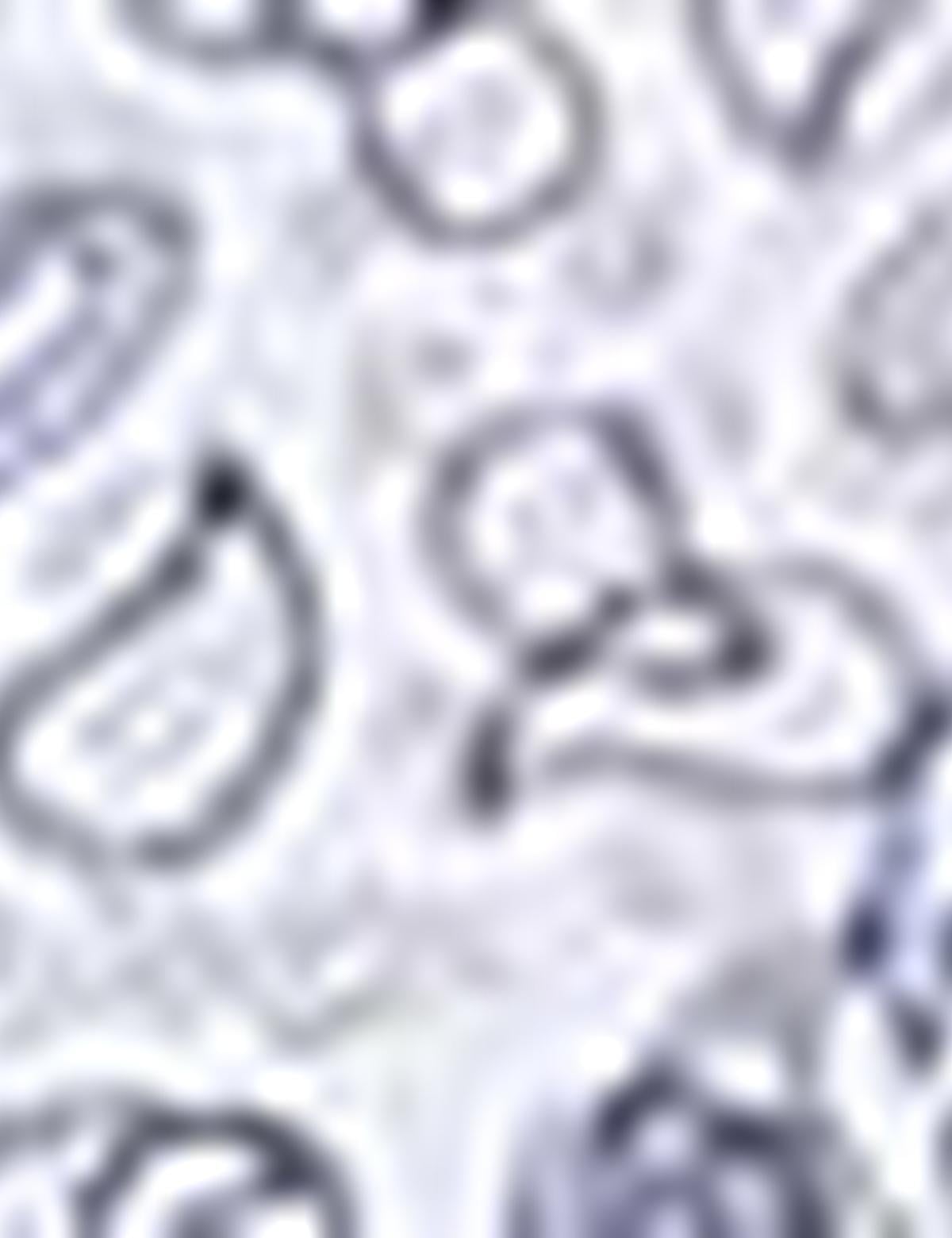 Mavi Slim Fit Gömlek - 50211192011