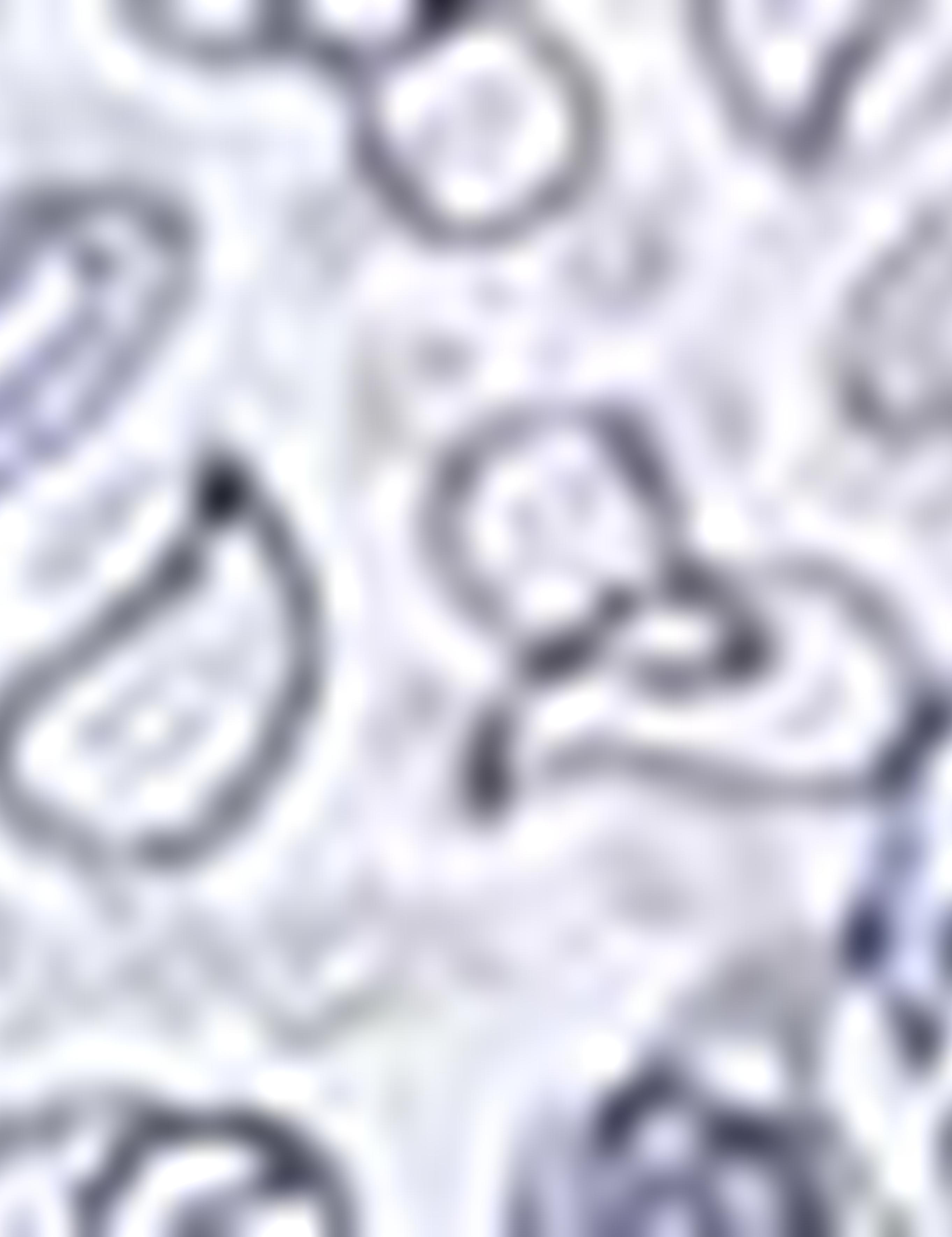 Mavi Slim Fit Gömlek