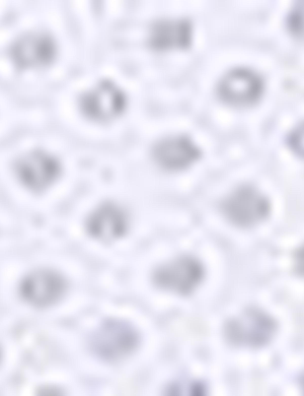 Beyaz Slim Fit Gömlek - 50211193018