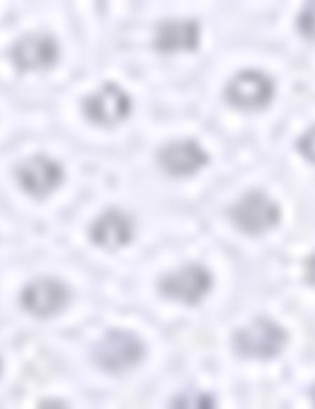 Beyaz Slim Fit Gömlek - 50211193018