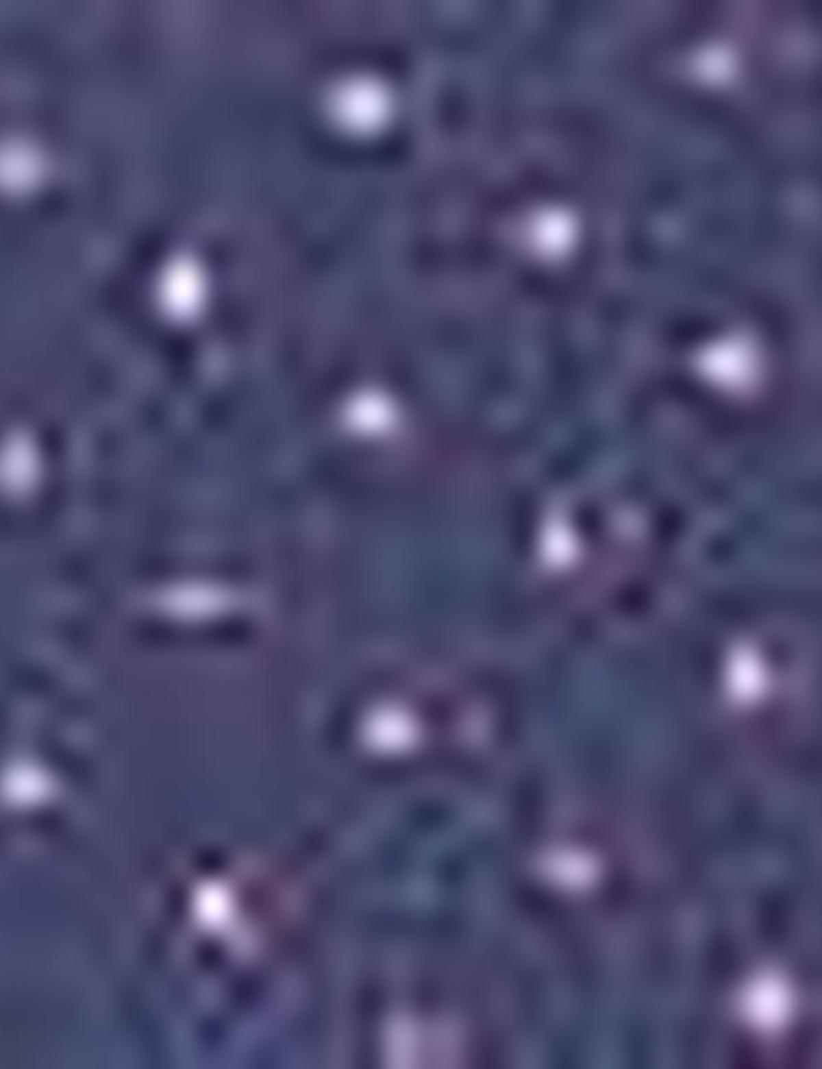 Mavi Slim Fit Gömlek - 50211193026