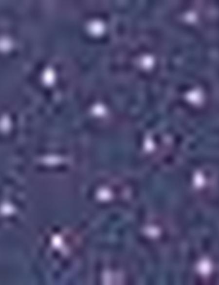 Mavi Slim Fit Gömlek - 50211193026