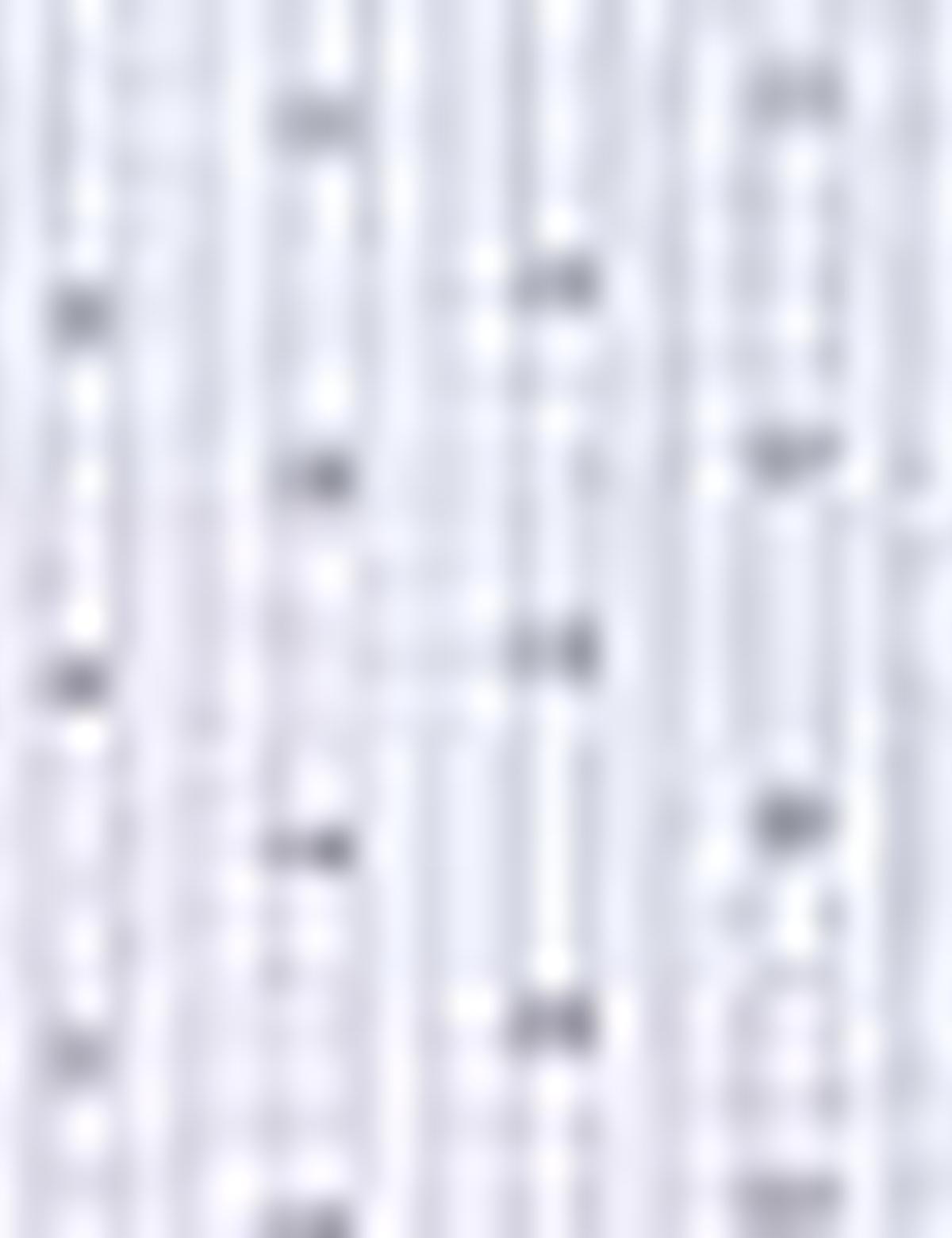 Mavi Slim Fit Uzun Kollu Gömlek - 50211194012