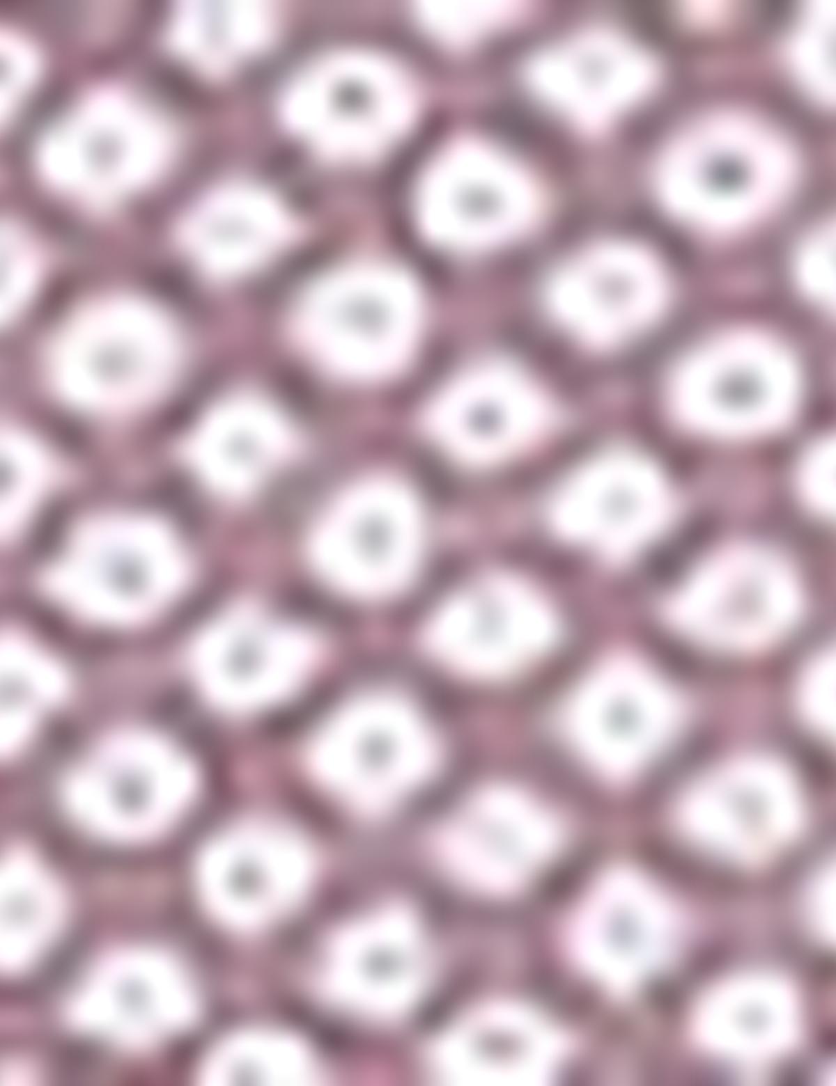 Bordo Slim Fit Gömlek - 50211196006