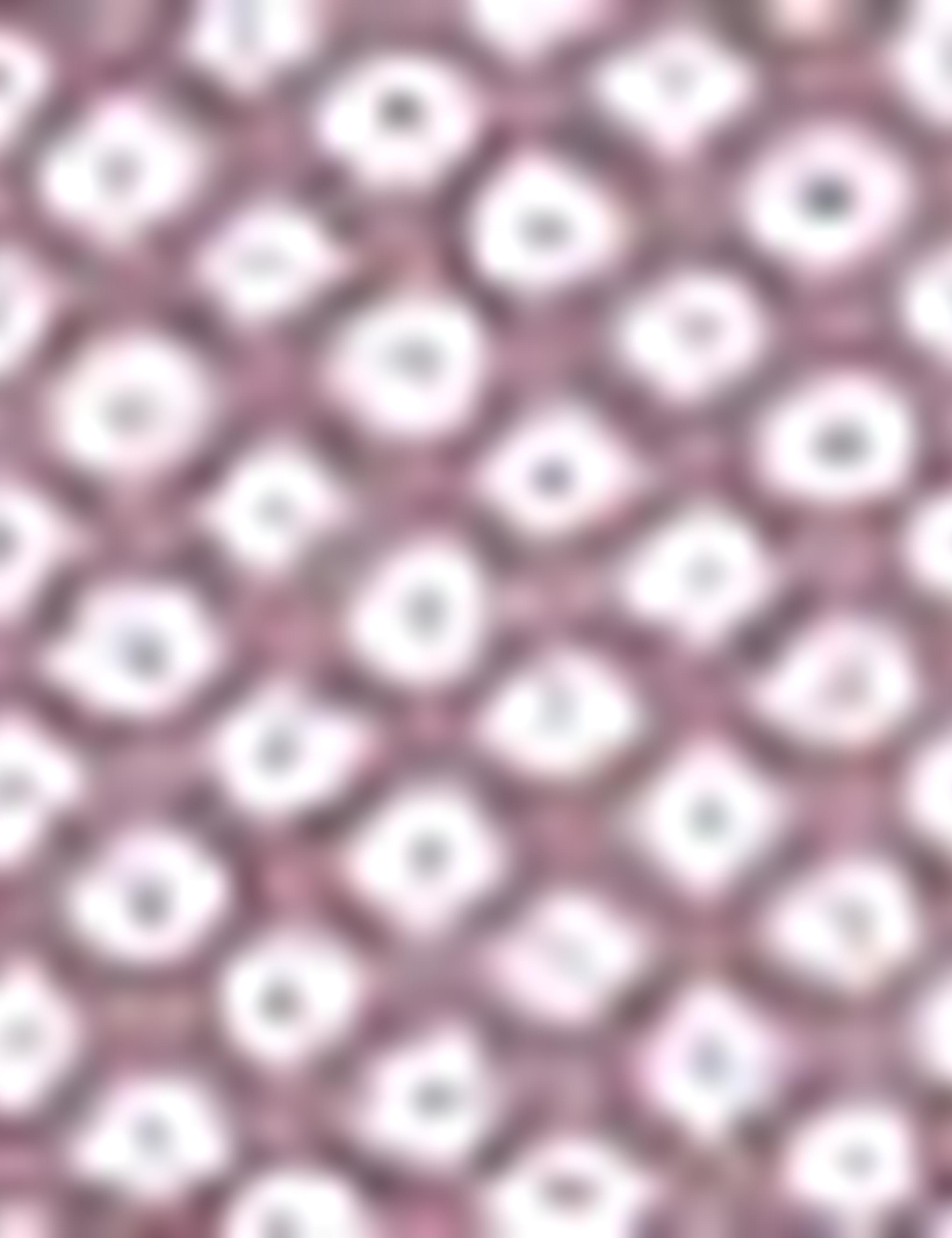 Bordo Slim Fit Gömlek