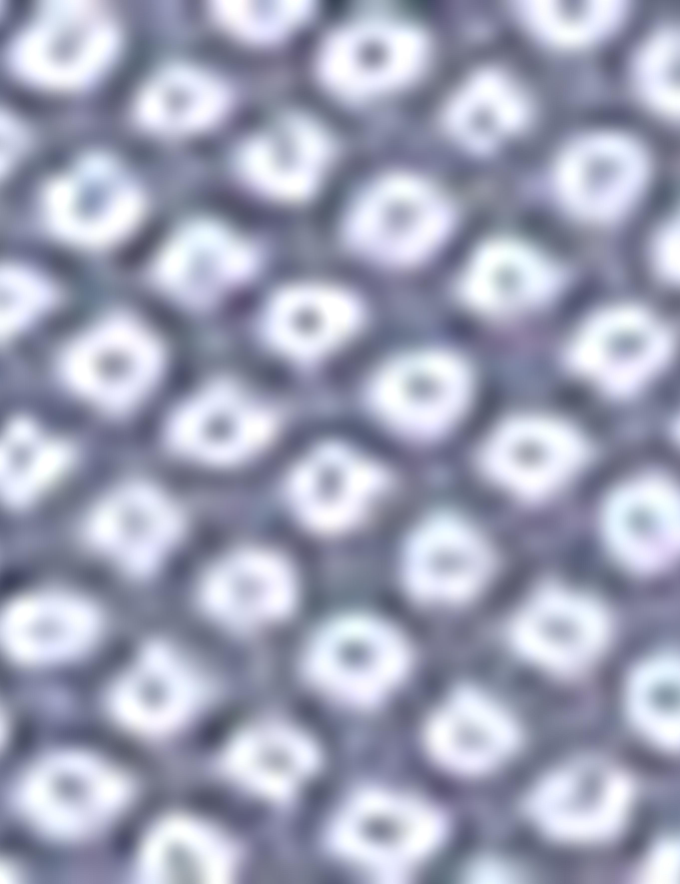 Lacivert Slim Fit Gömlek