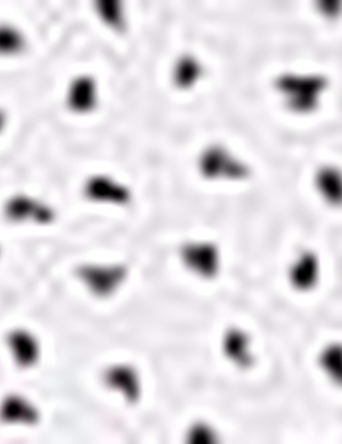 Bordo Slim Fit Uzun Kollu Gömlek - 50211201012