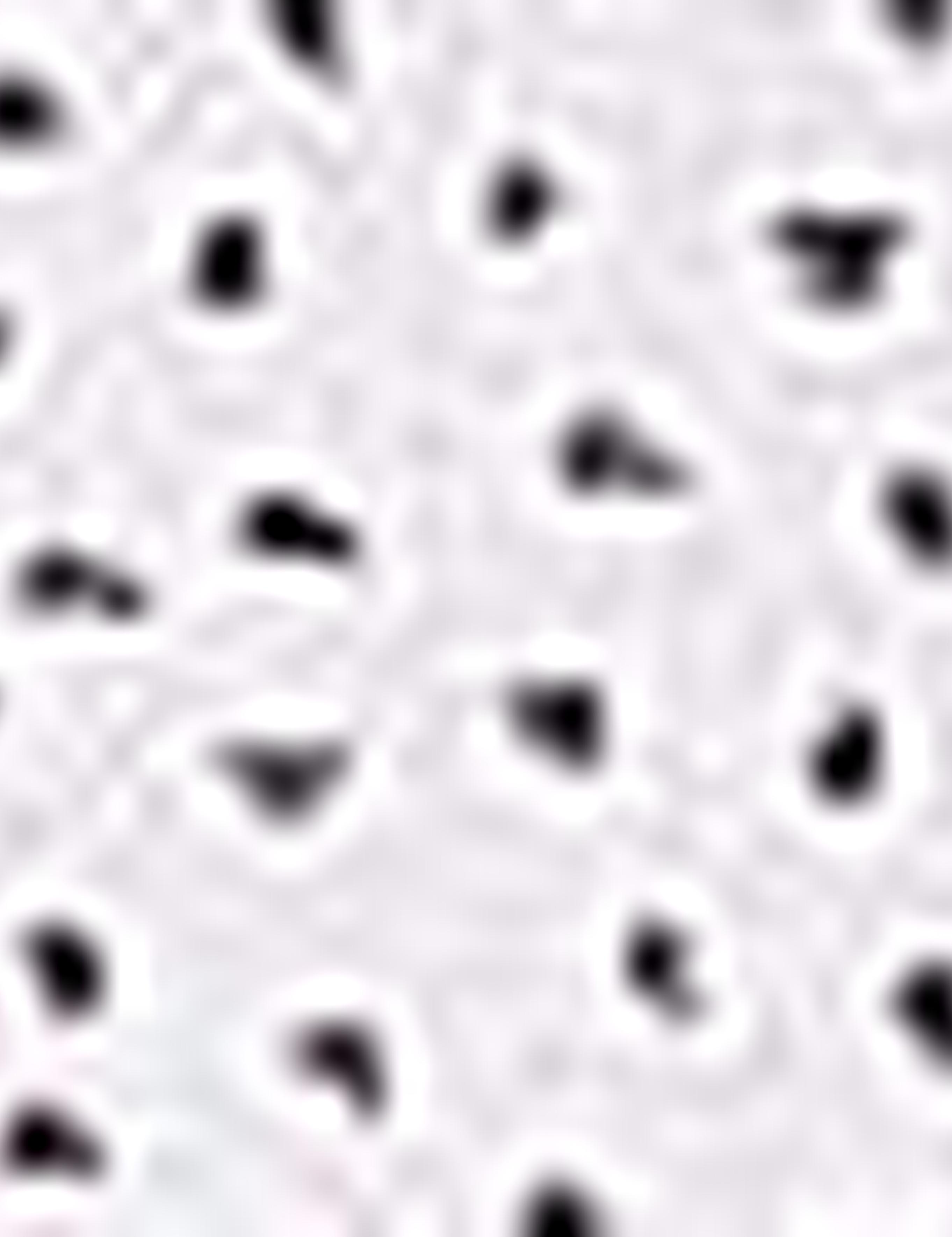 Bordo Slim Fit Uzun Kollu Gömlek