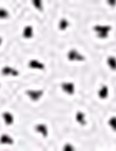 Bordo Slim Fit Uzun Kollu Gömlek - 50211201012