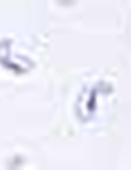 Açık Mavi Slim Fit Gömlek - 50211203017