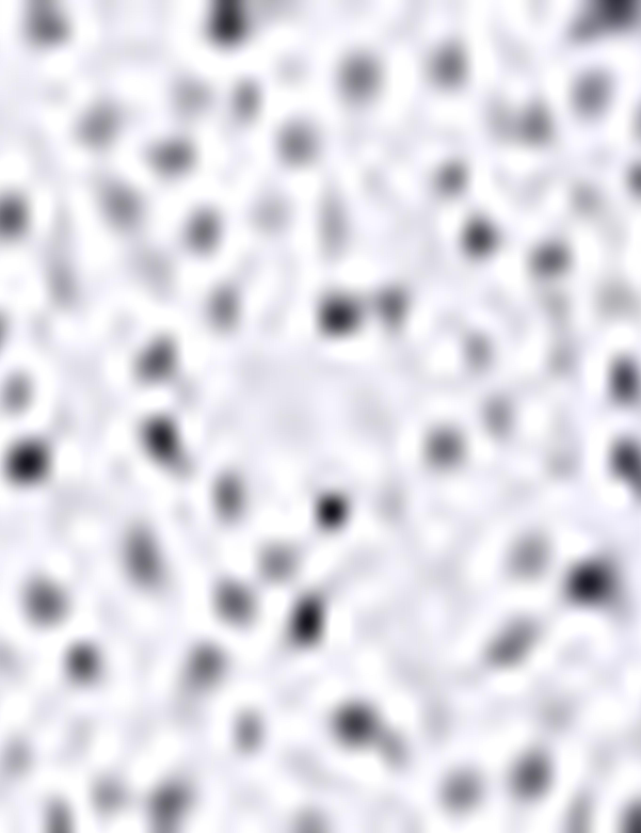 Lacivert Slim Fit Gömlek