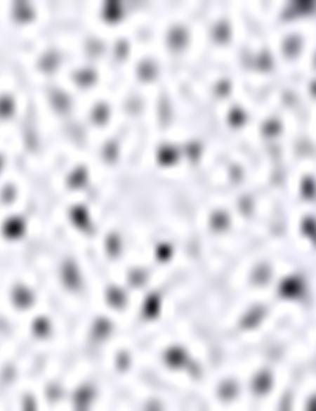 Lacivert Slim Fit Gömlek - 50211209002