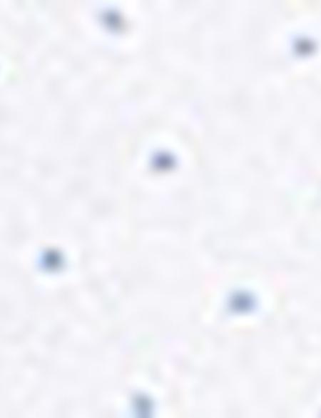 Açık Mavi Slim Fit Gömlek - 50211211005