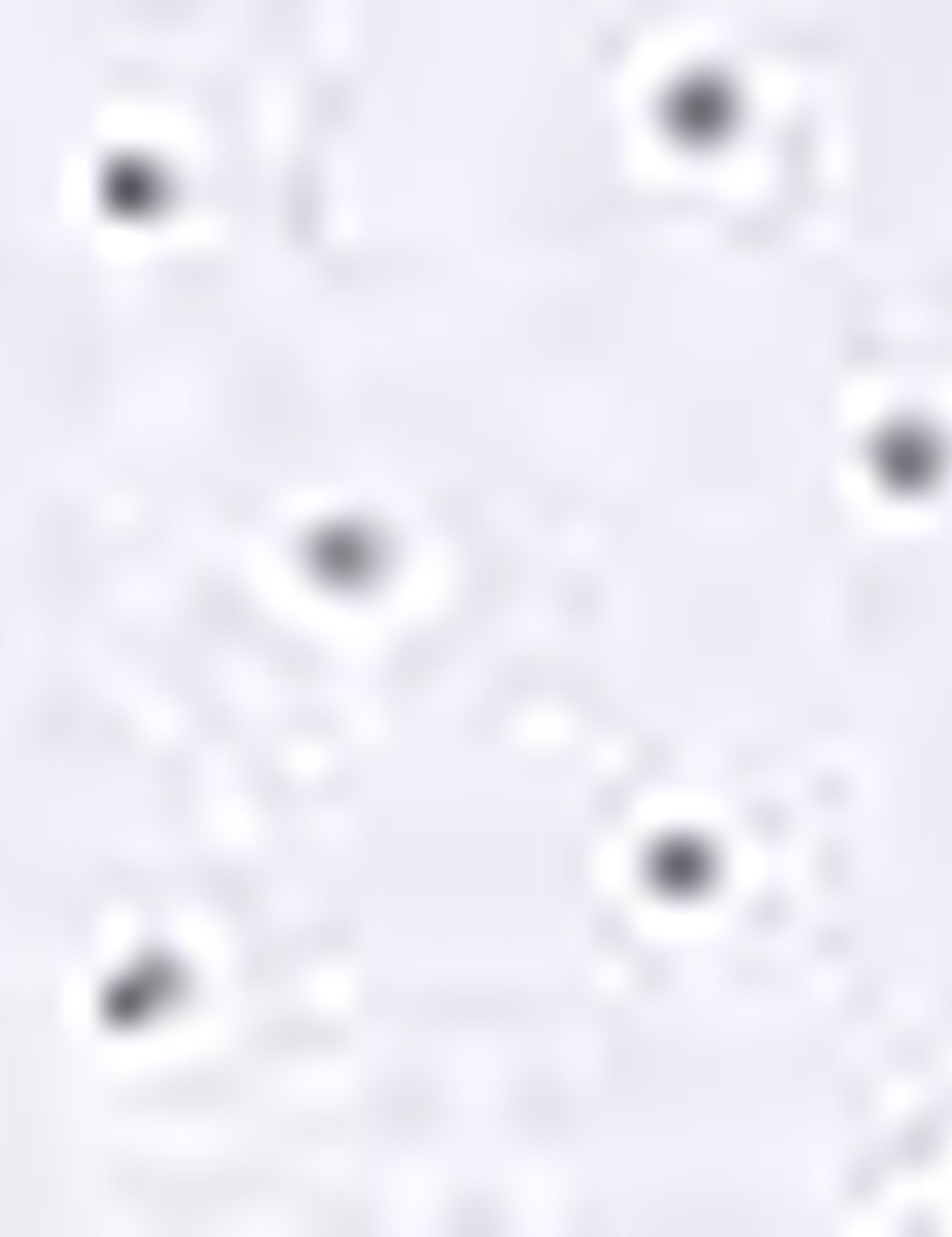 Beyaz Slim Fit Gömlek