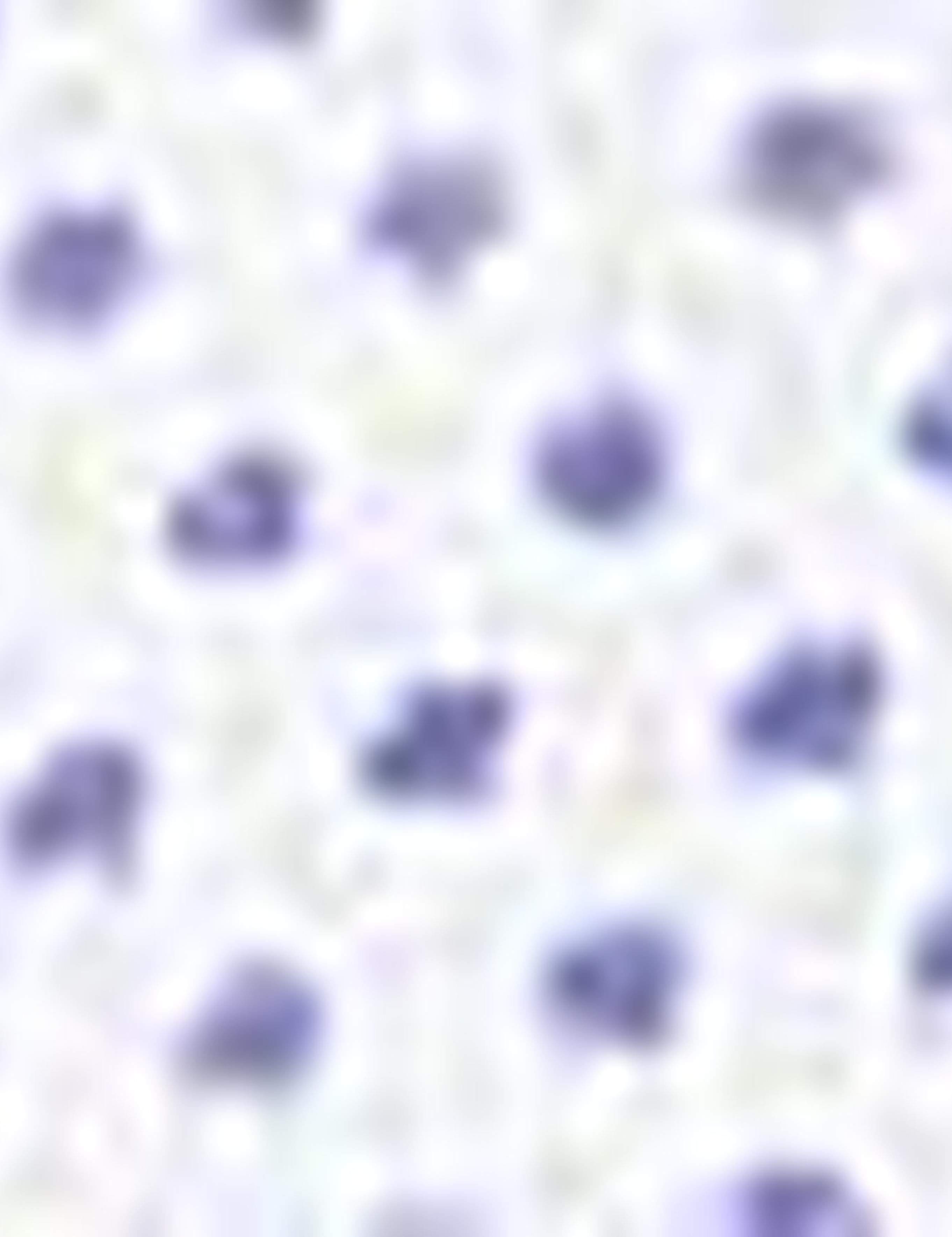 Beyaz Slim Fit Gömlek