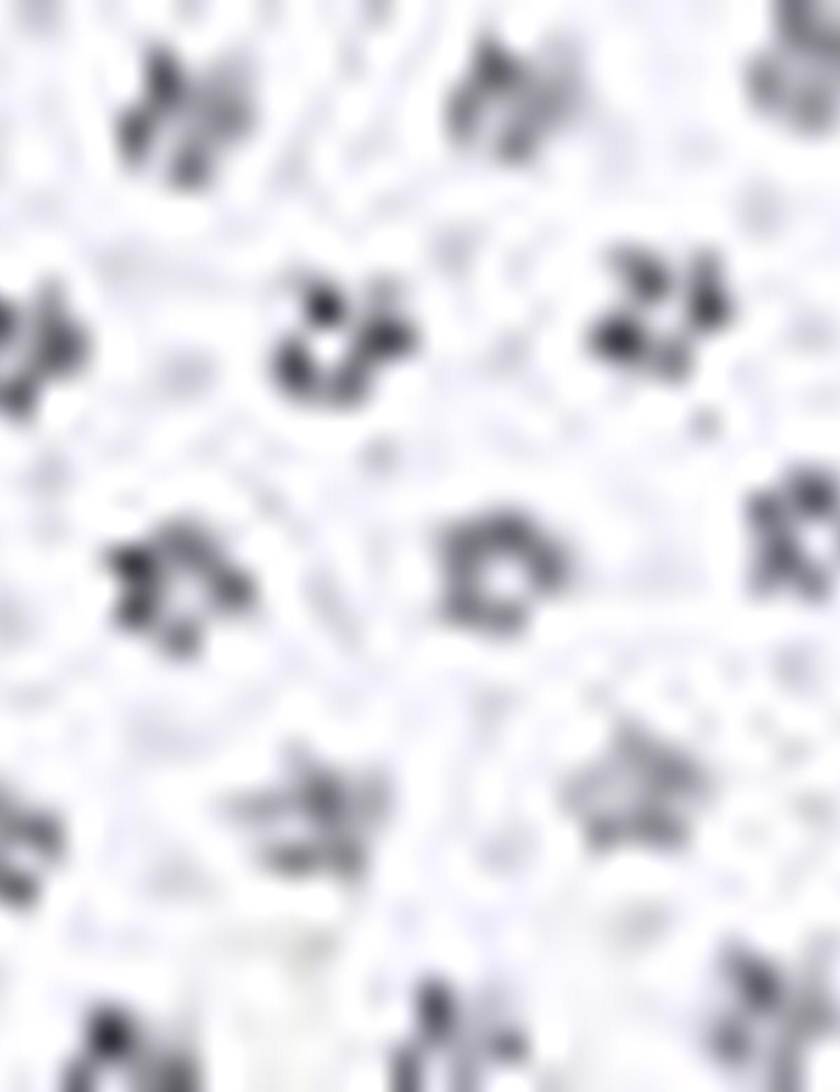 Kahverengi Slim Fit Gömlek - 50211215004