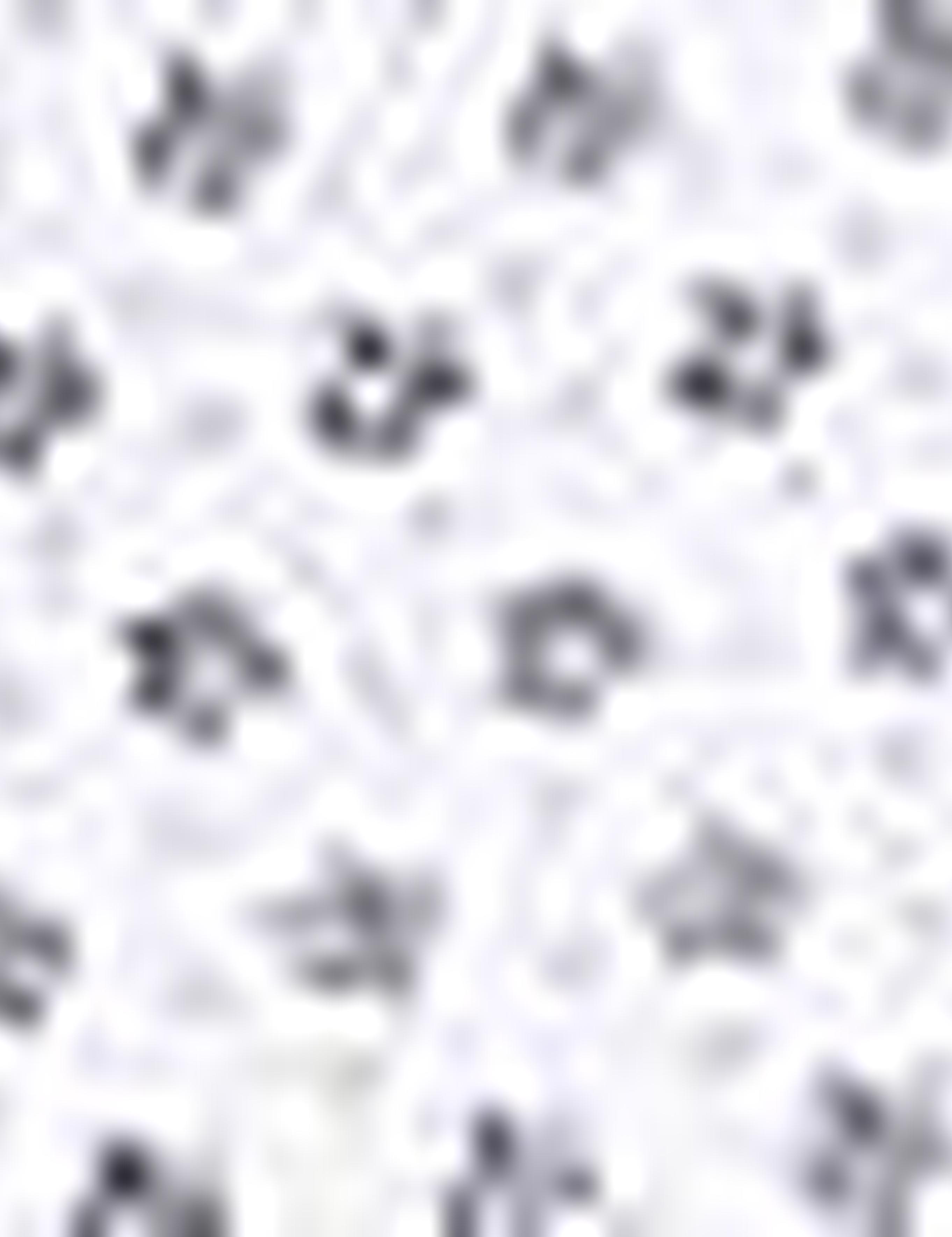 Kahverengi Slim Fit Gömlek