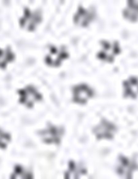 Kahverengi Slim Fit Gömlek - 50211215004