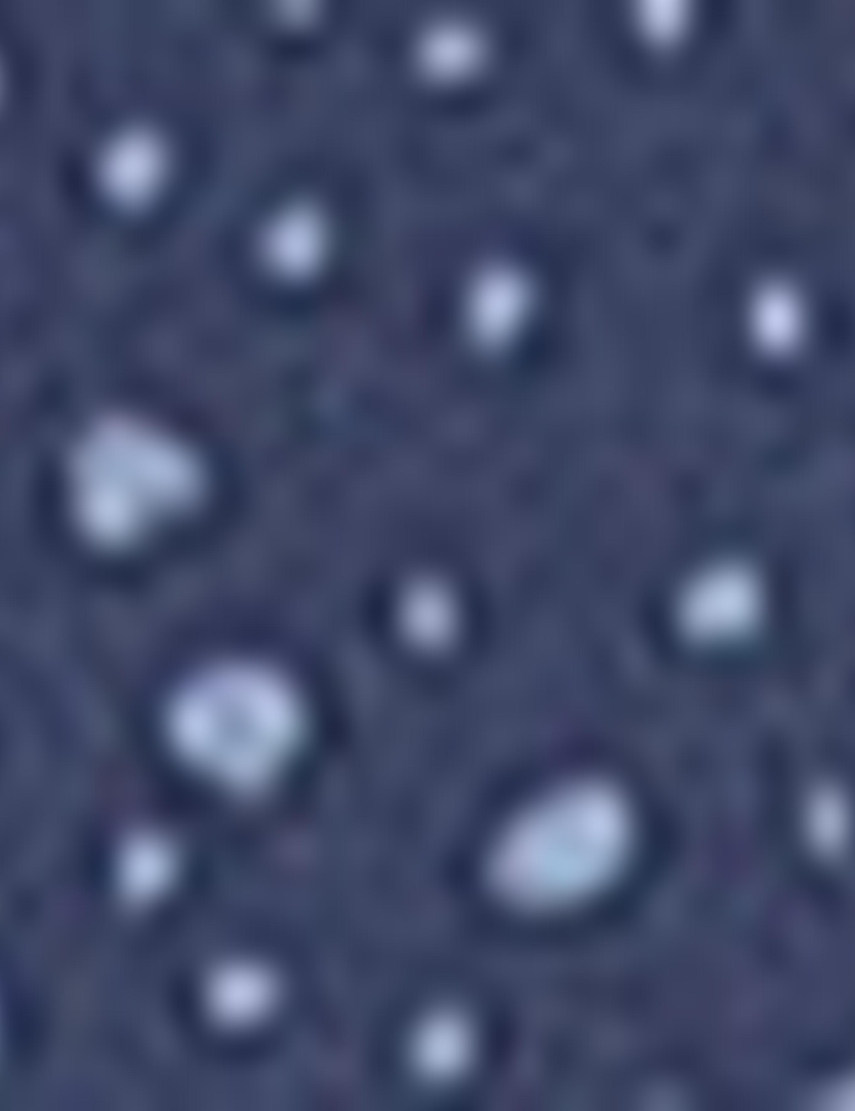 Lacivert Slim Fit Gömlek