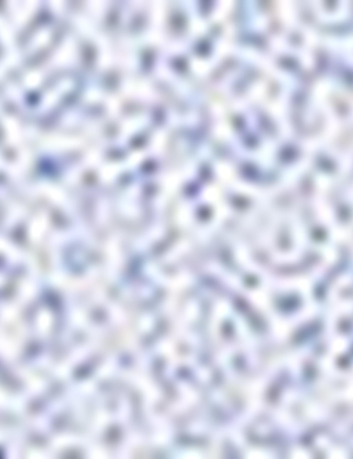 Mavi Slim Fit Gömlek - 50211219011