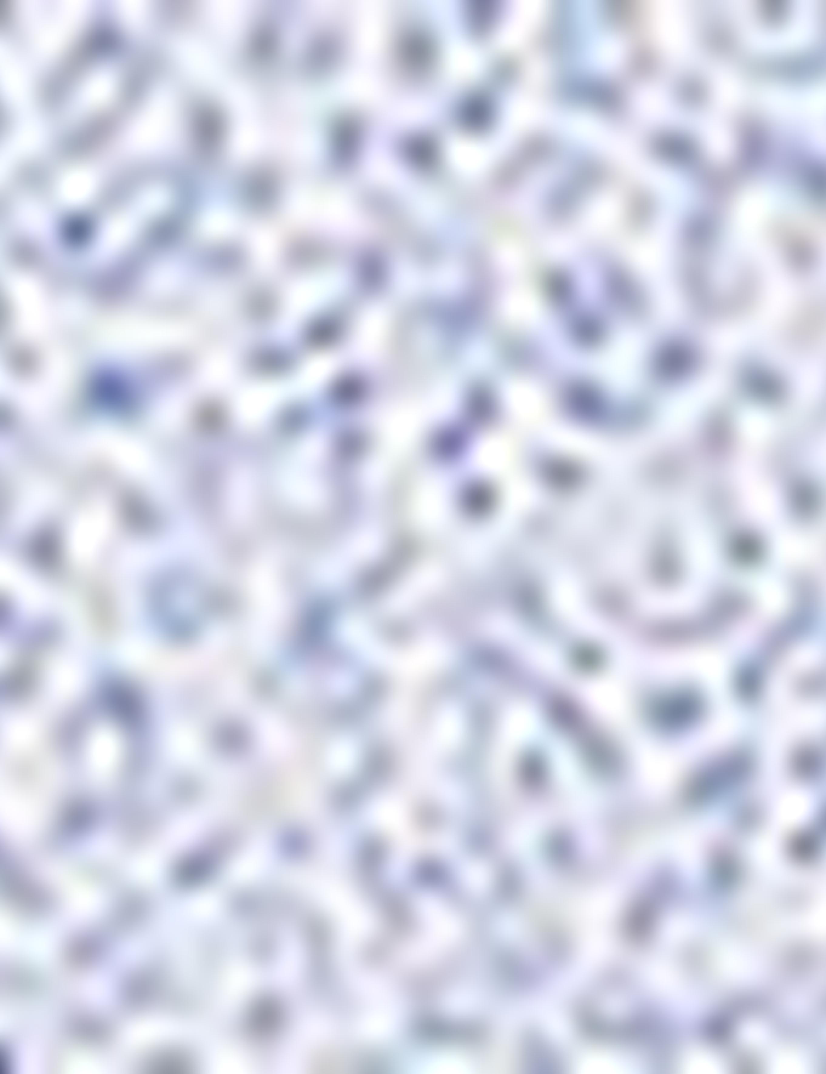 Mavi Slim Fit Gömlek