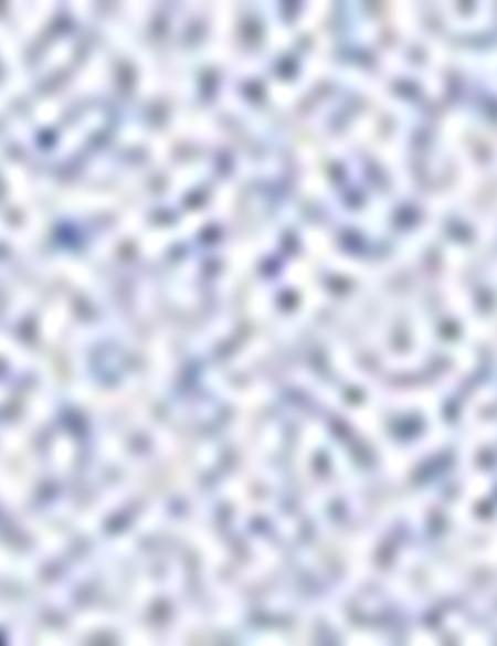 Mavi Slim Fit Gömlek - 50211219011