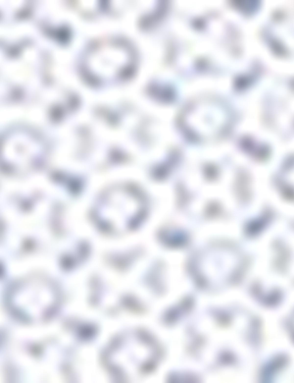 Lacivert Slim Fit Gömlek - 50211222003