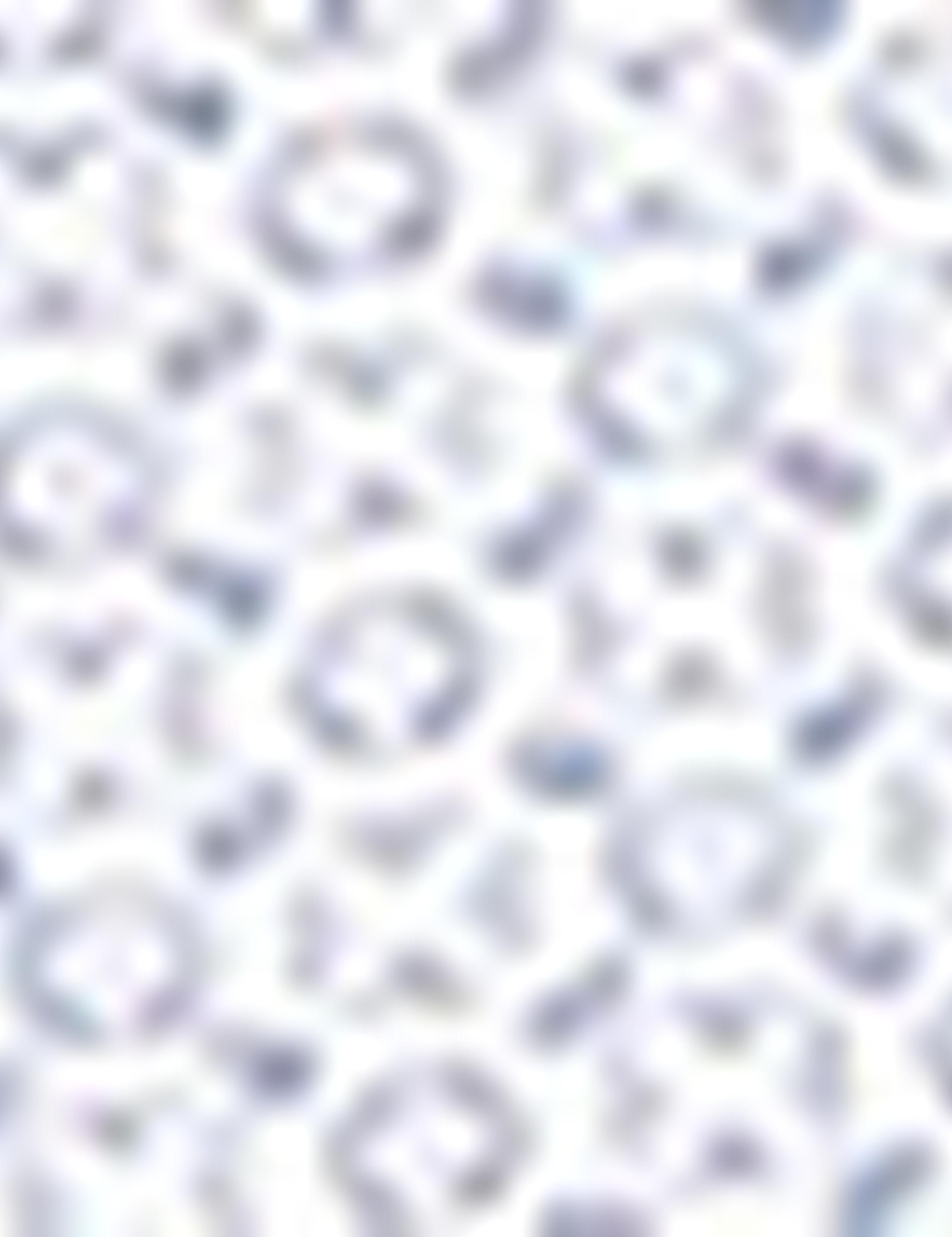 Lacivert Slim Fit Gömlek