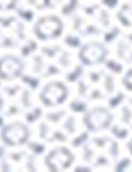 Lacivert Slim Fit Gömlek - 50211222003