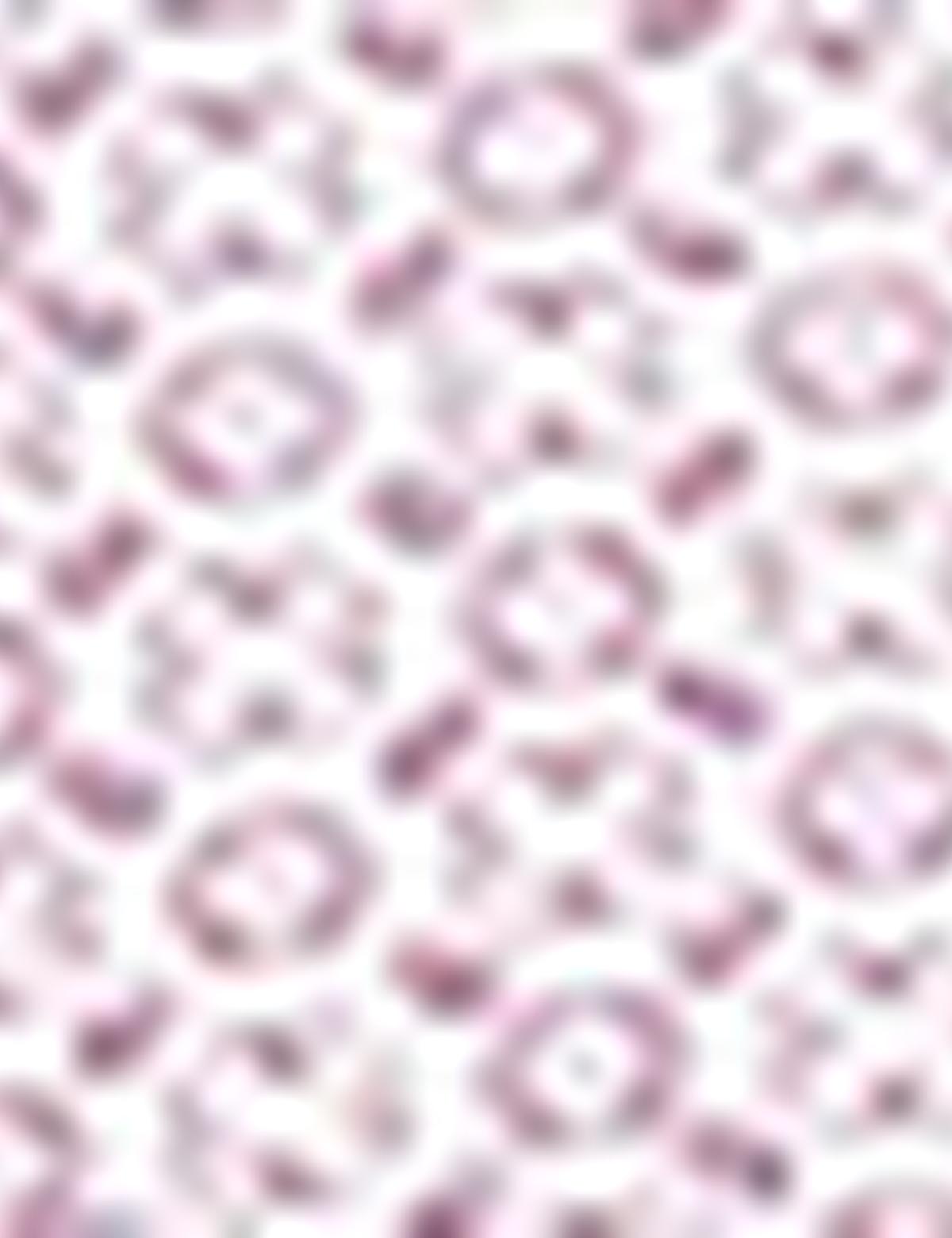 Bordo Slim Fit Uzun Kollu Gömlek - 50211222012