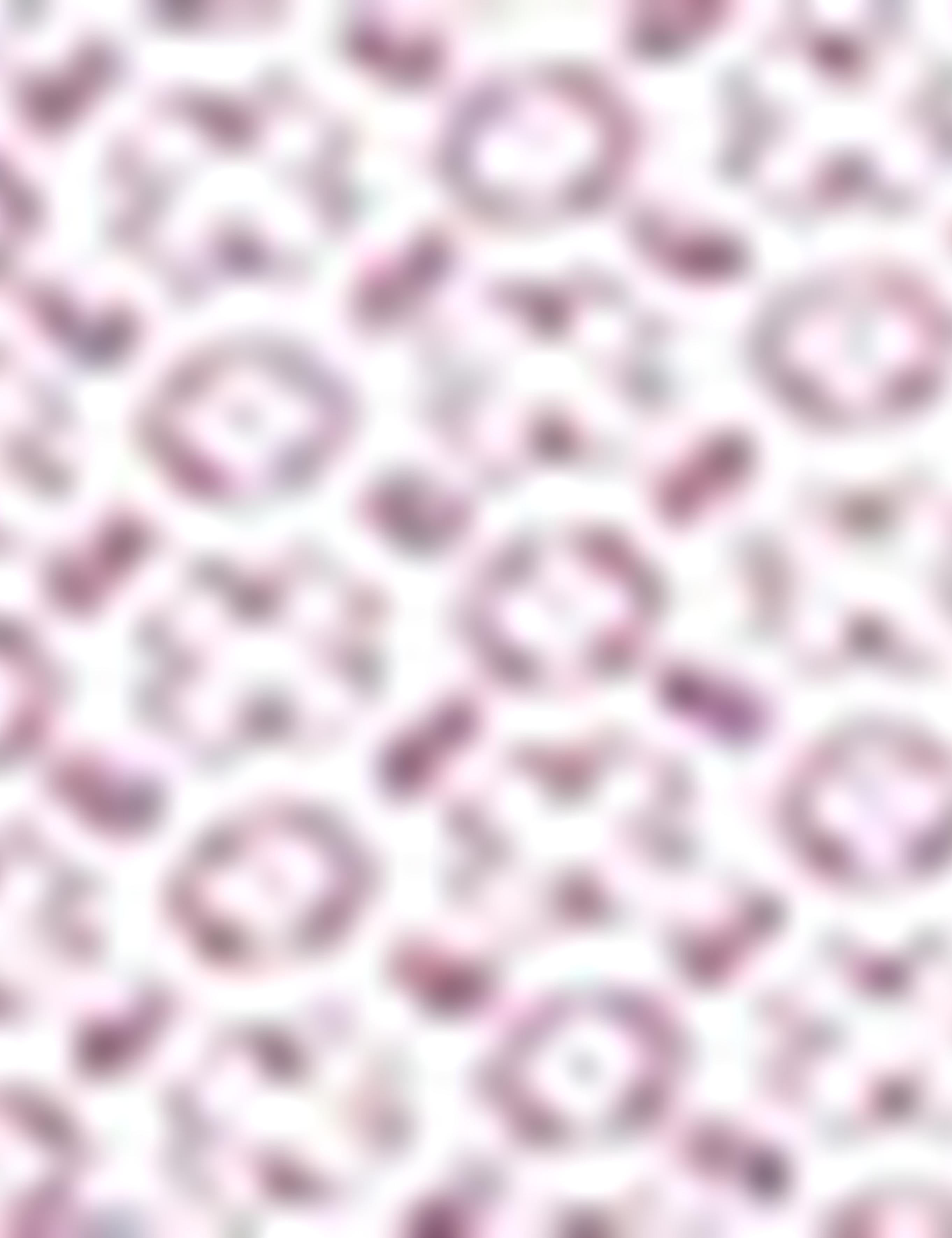 Bordo Slim Fit Uzun Kollu Gömlek