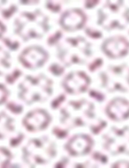 Bordo Slim Fit Uzun Kollu Gömlek - 50211222012