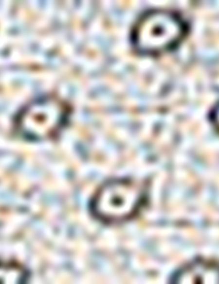 Gri Melanj Slim Fit Gömlek - 50211229009