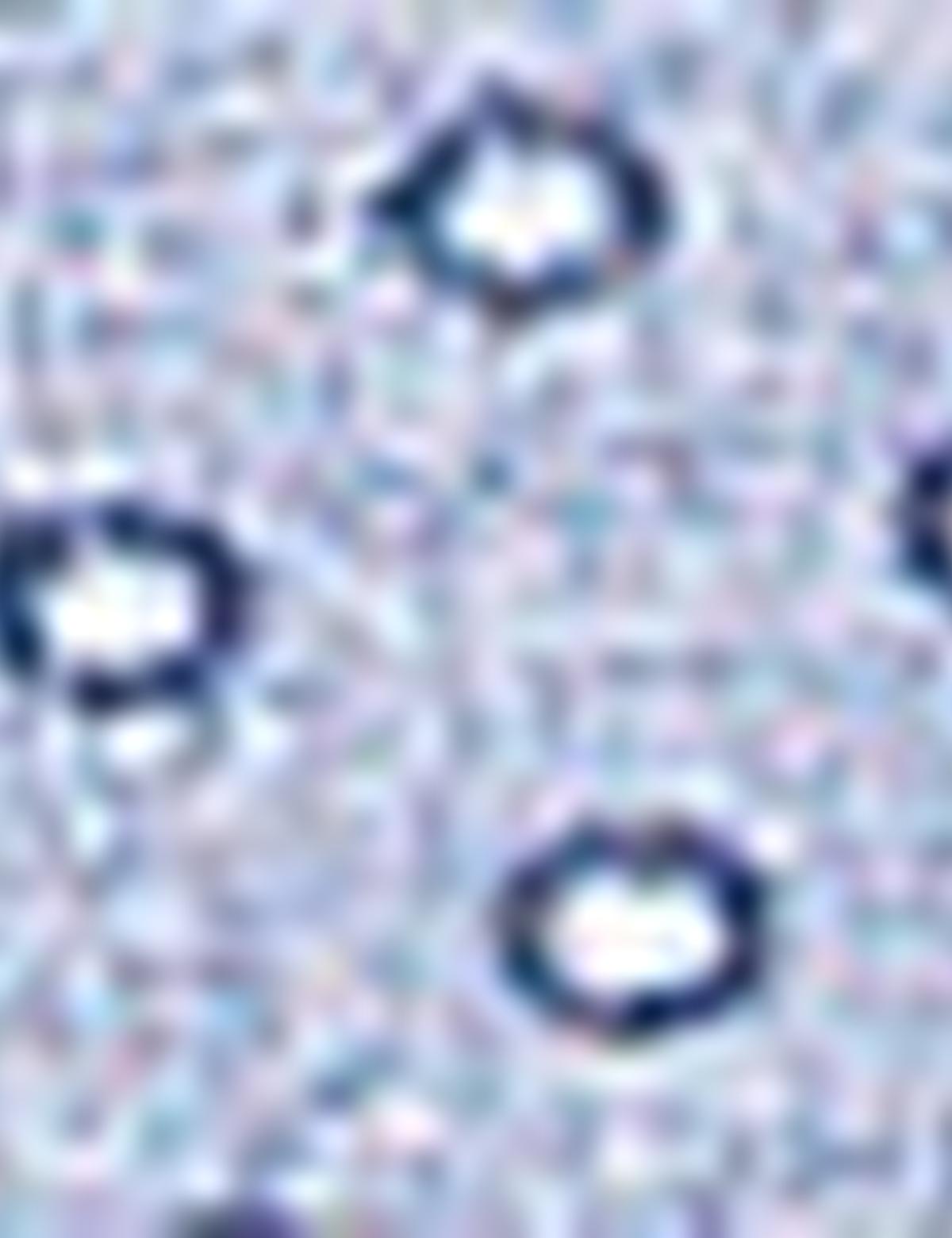 Mavi Slim Fit Gömlek - 50211229012