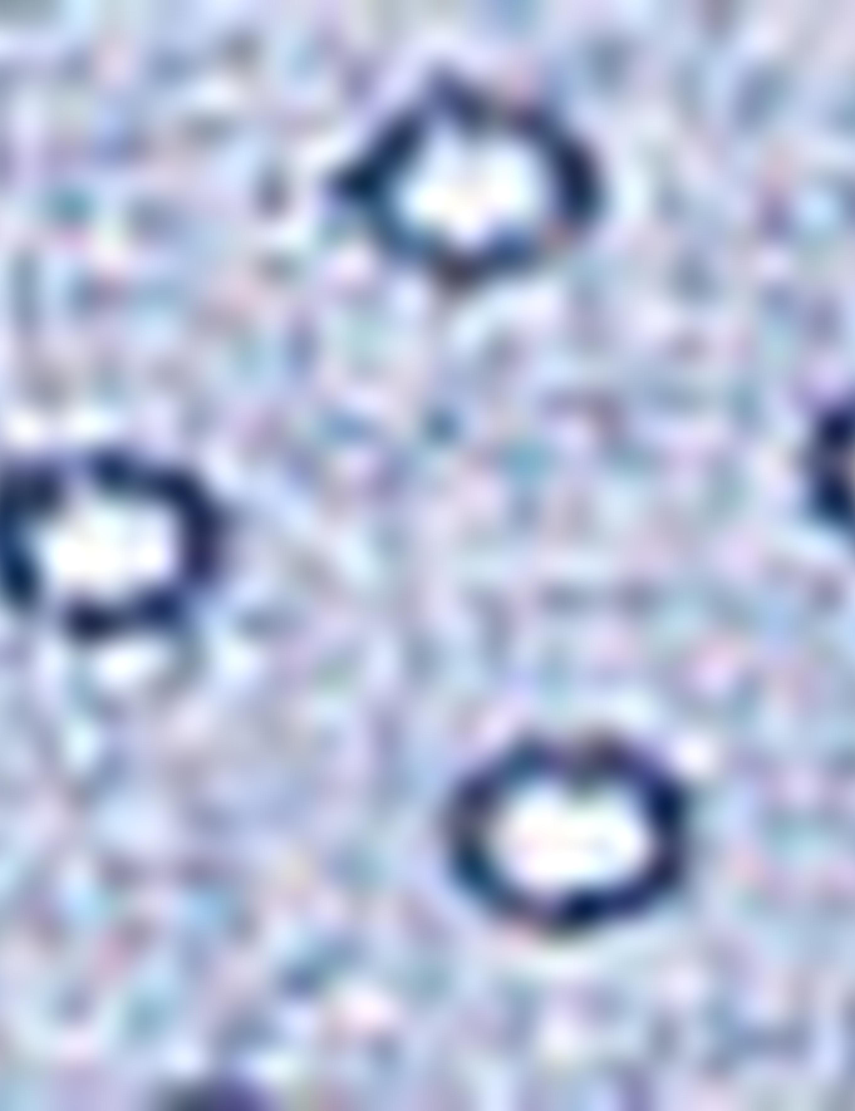 Mavi Slim Fit Gömlek