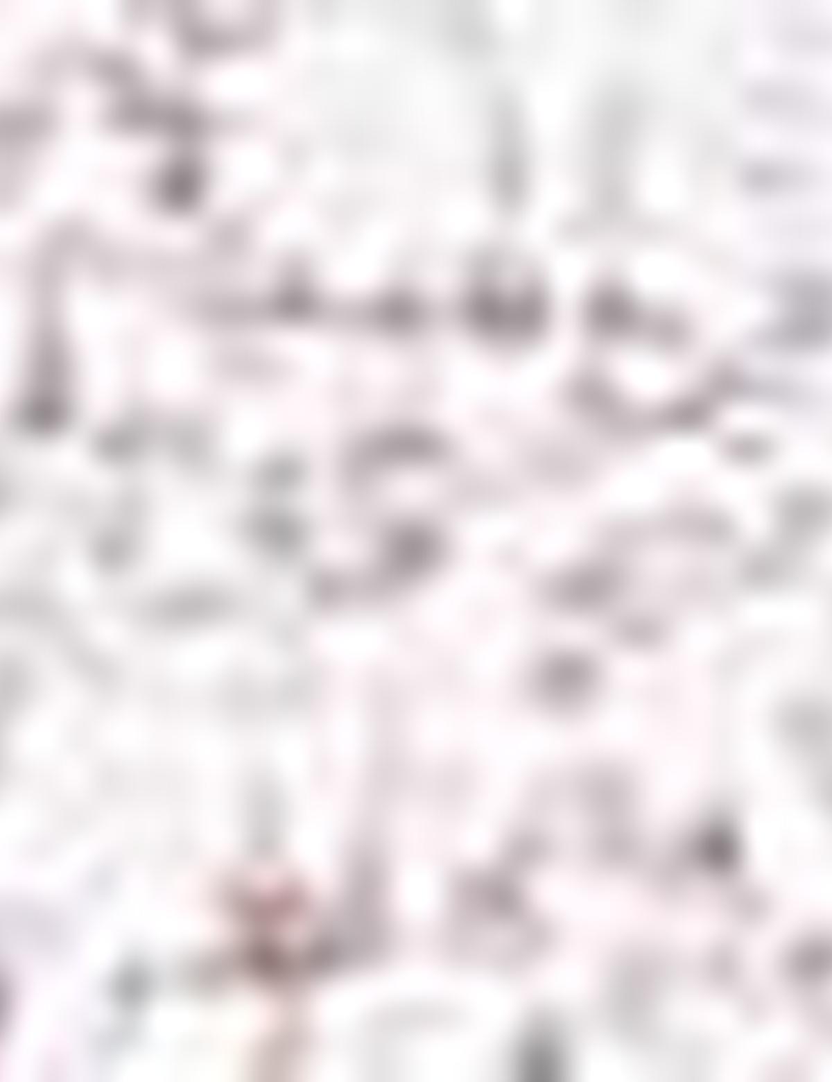 Bej Slim Fit Uzun Kollu Gömlek - 50211231001