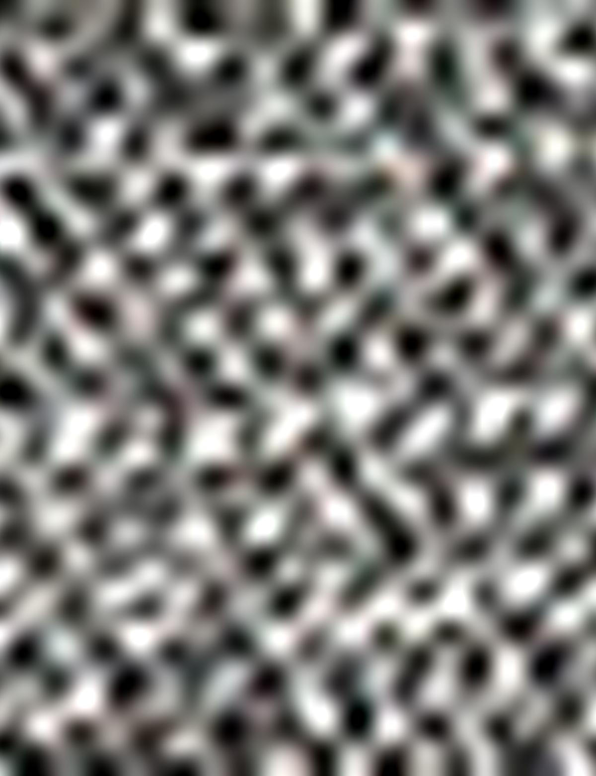 Siyah Ceket - 50211376011