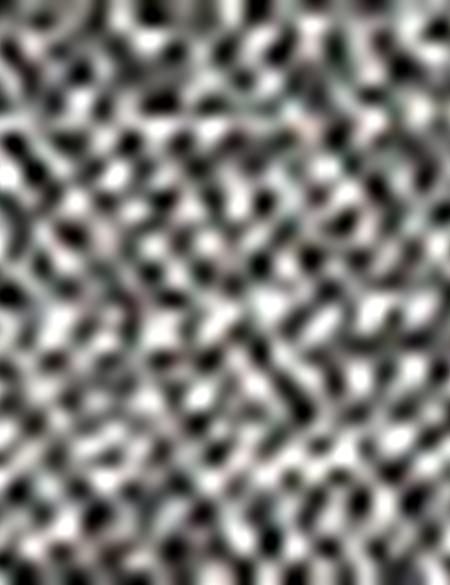 Siyah Ceket - 50211376011