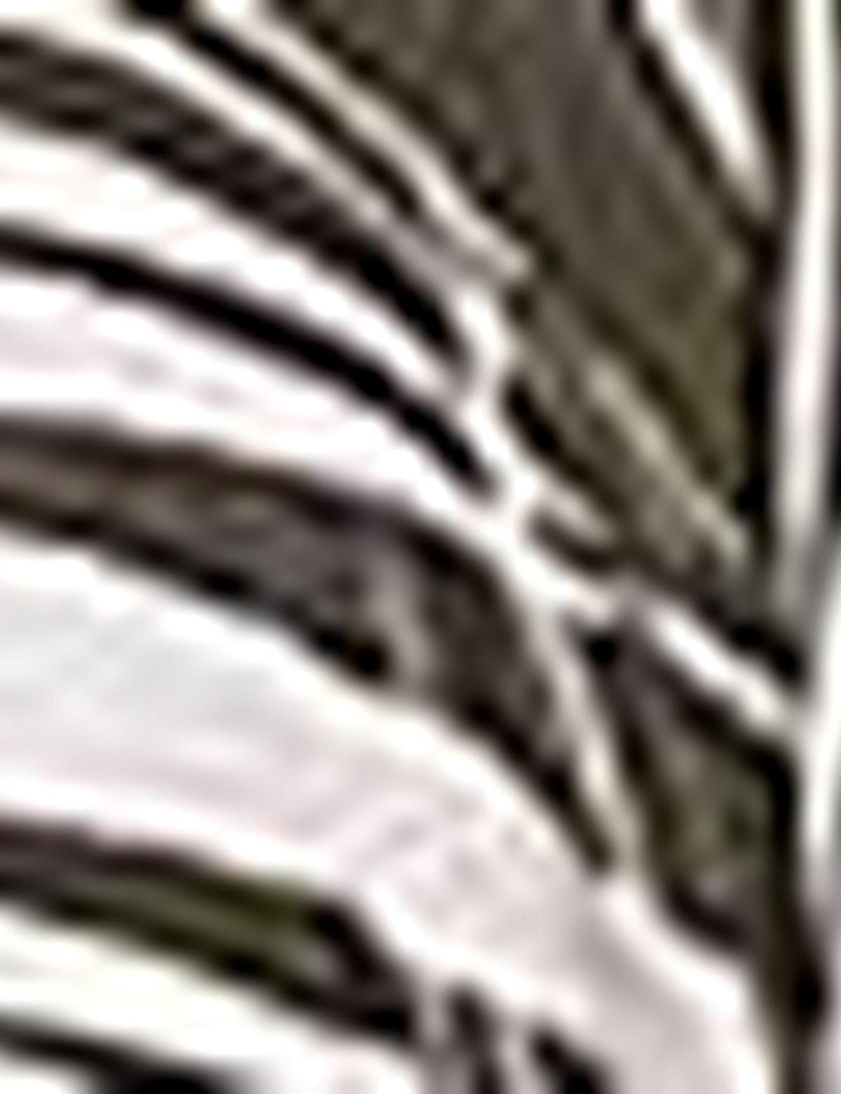 Haki Ceket - 50213807003